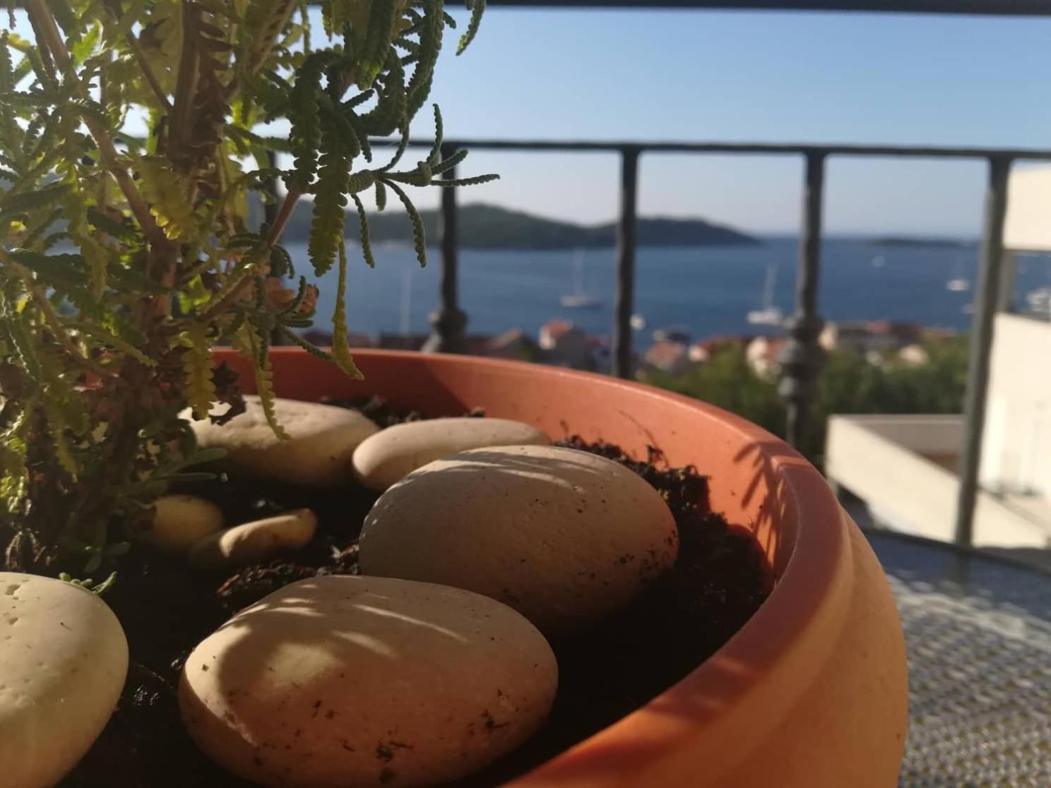 A Lovely And Cozy Room With A Breathtaking View Vis Eksteriør bilde